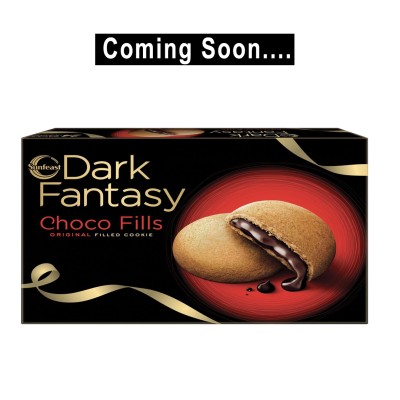 Sunfeast Dark Fantasy choco Fills 300gm